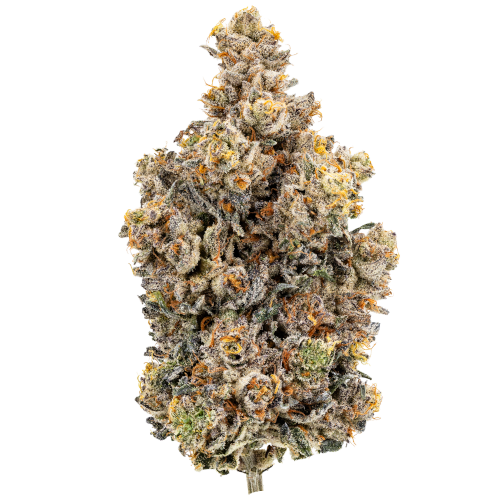 24/1 IUVO OC Rainbow Chip