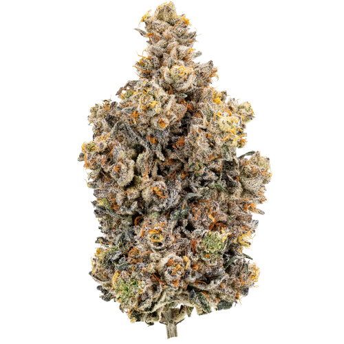 28/1 IUVO OC Rainbow Chip