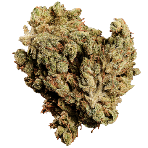 420 Balanced Basic PT SLG Super Lemon G