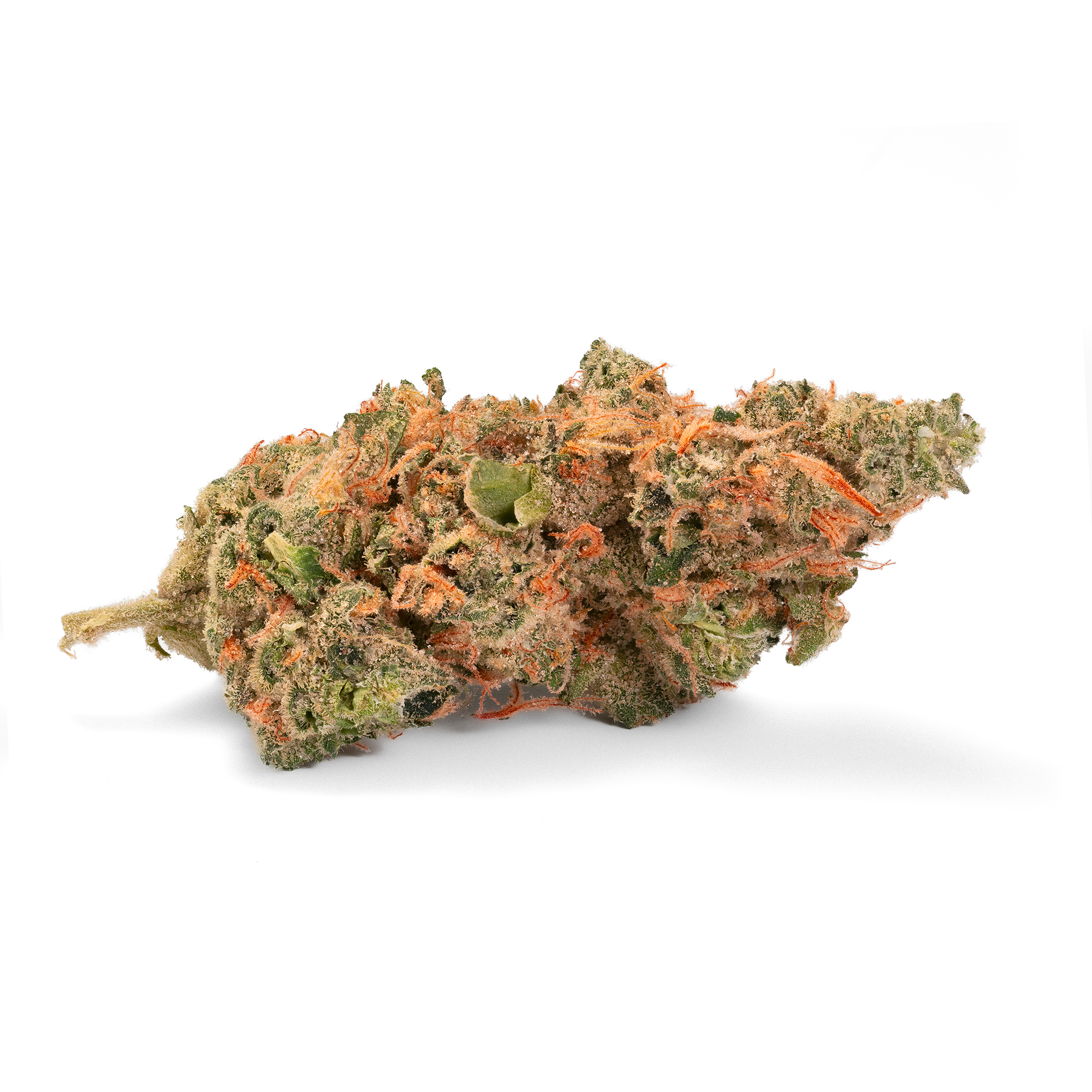 420 Evolution 27/1 CA GMO Cookies