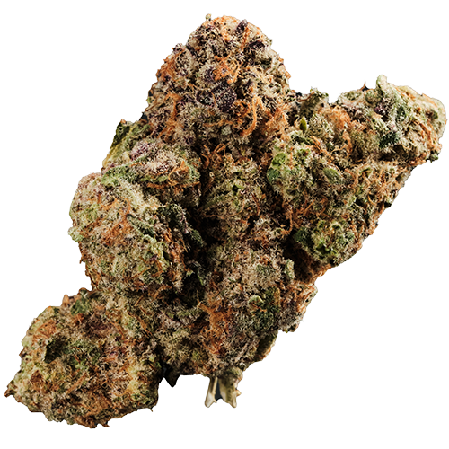 420 Evolution 27/1 CA MMI Miracle Mint