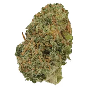 187 Cannabisflower 24K THC25