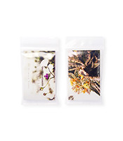 Baby Breath regular (Gage Green Group)