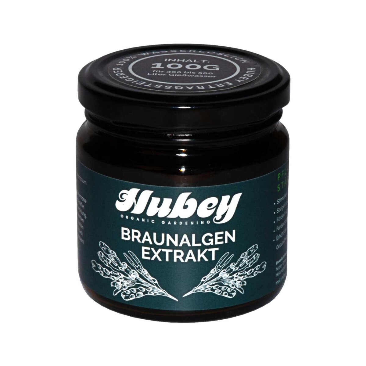 Hubey Braunalgen Extrakt – 100 g – Pflanzstärkungsmittel zur Vitalisierung von Blüten und Wurzeln – 100% wasserlösliches Konzentrat