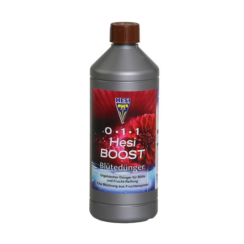 Hesi Boost