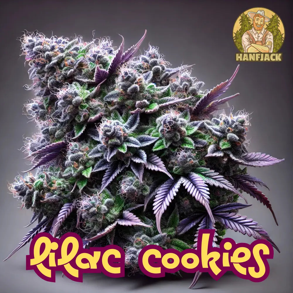 Lilac Cookies Feminisierte Stecklinge - Ethos Genetics