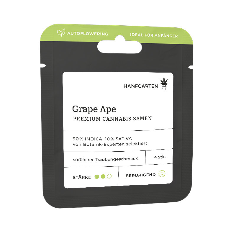 Grape Ape | Autoflowering