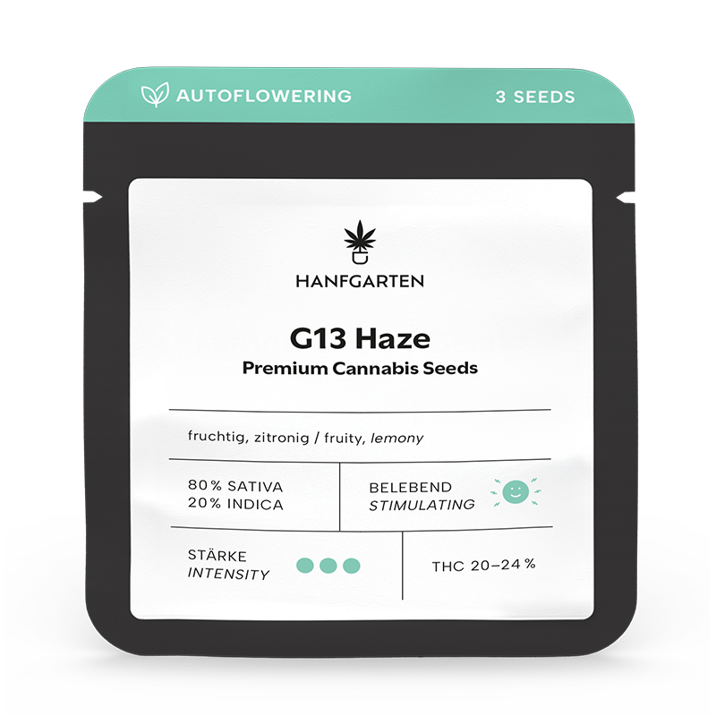 G13 Haze | Autoflowering