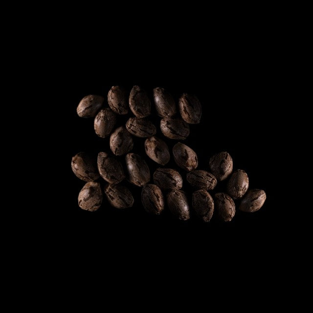 Purple Dream Auto - 25 Seed