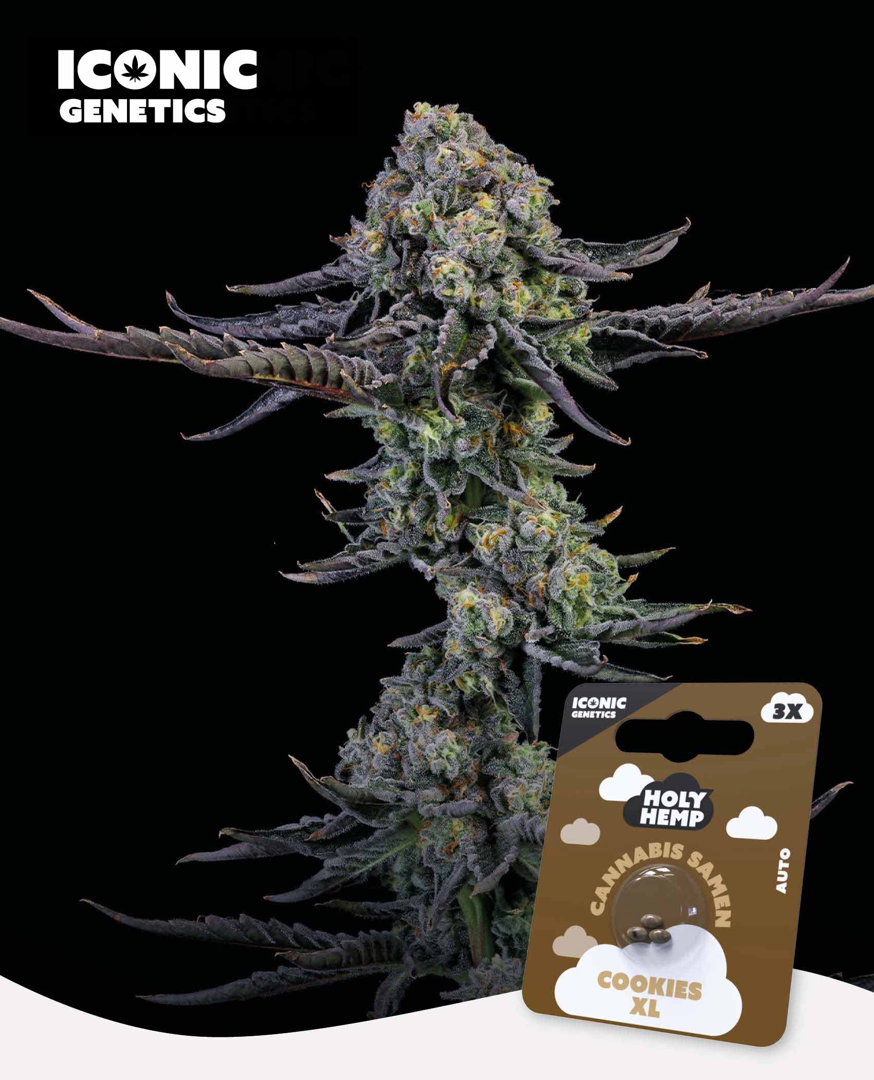 Cookies XL Automatic