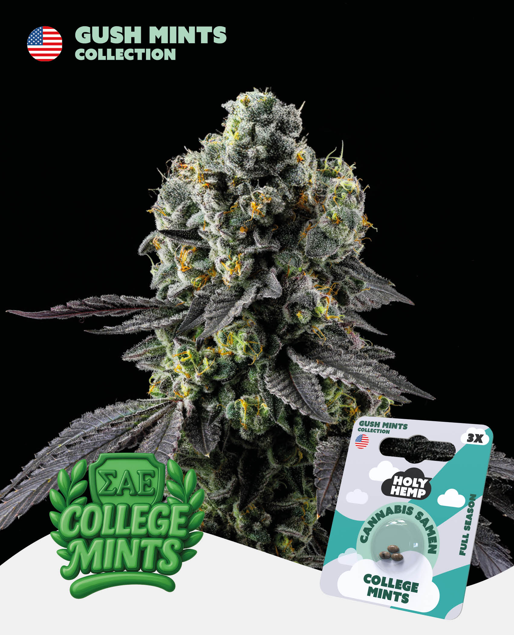 College Mints Feminisiert