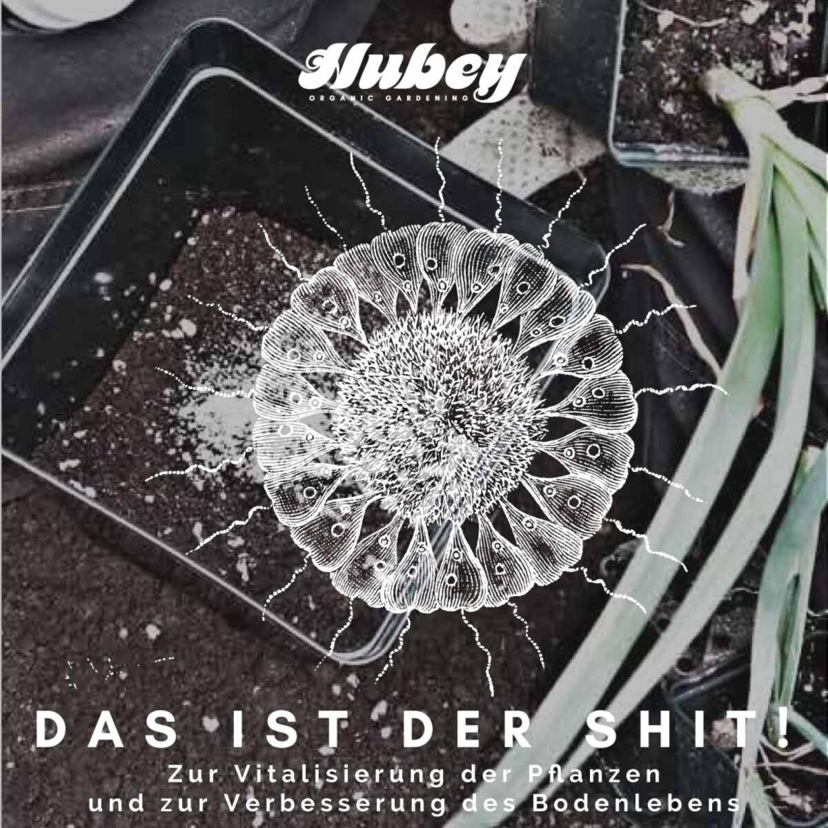 Hubey MT Mix 50g Streuer zur Impfung der Wurzeln – Mykorrhiza – Trichoderma und Wurzelbakterien – Mischung