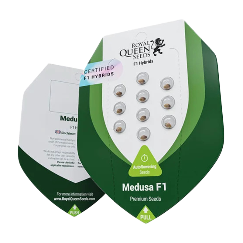 Medusa F1 | Autoflowering