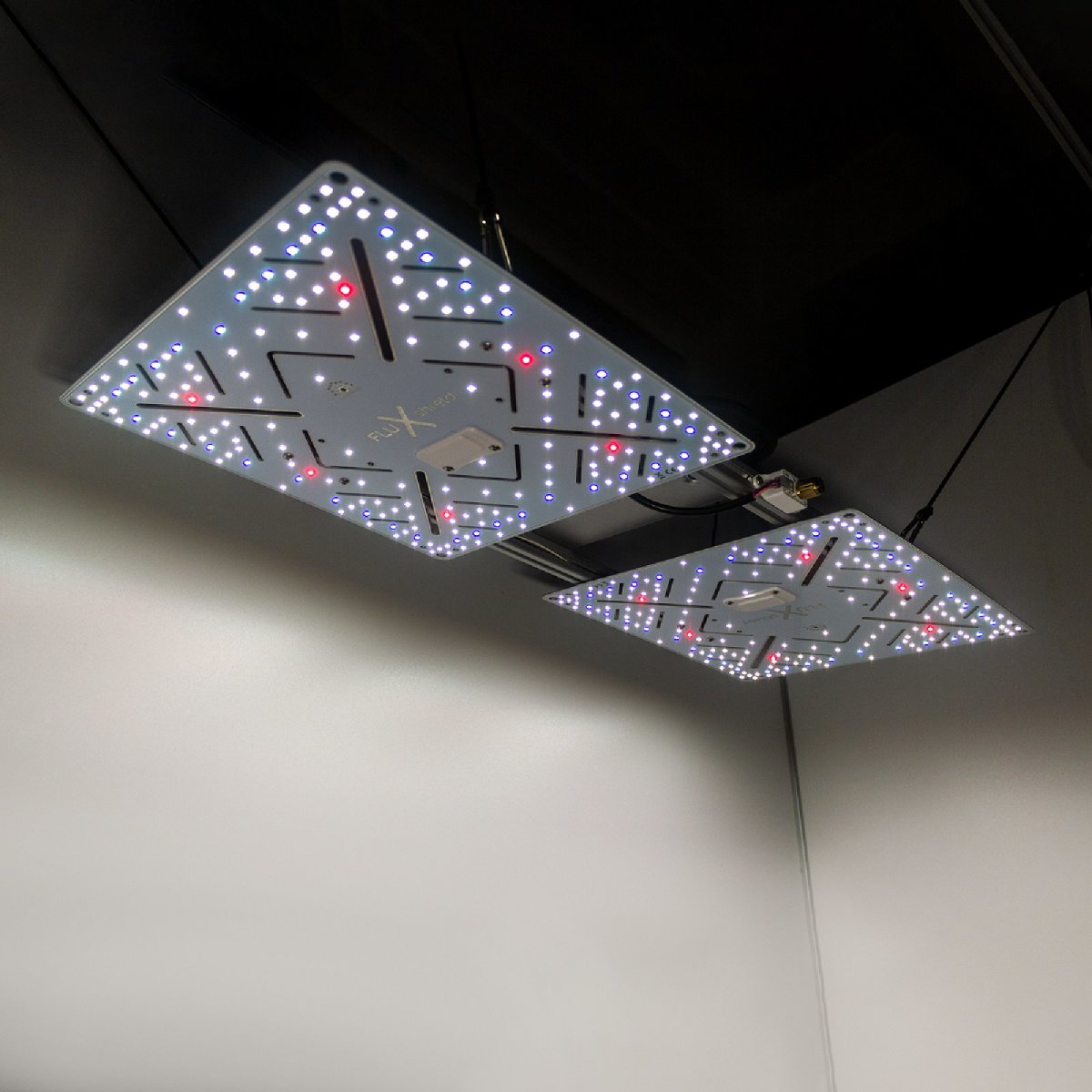 Bloomstar Wingman 600