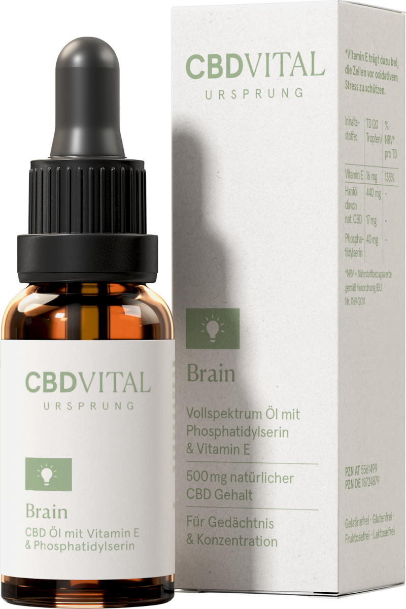 CBD Ursprung BRAIN