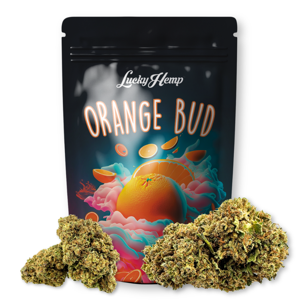 Orange Bud 3,5g Limited Pack - 3.5g