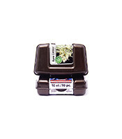 Critical Auto (Kera Seeds)