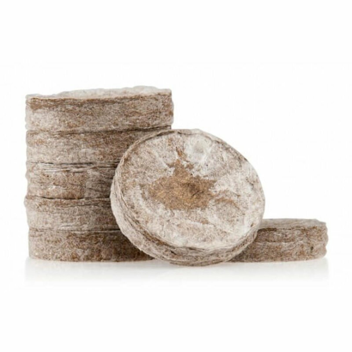 Jiffy Quelltopf 1 Stück