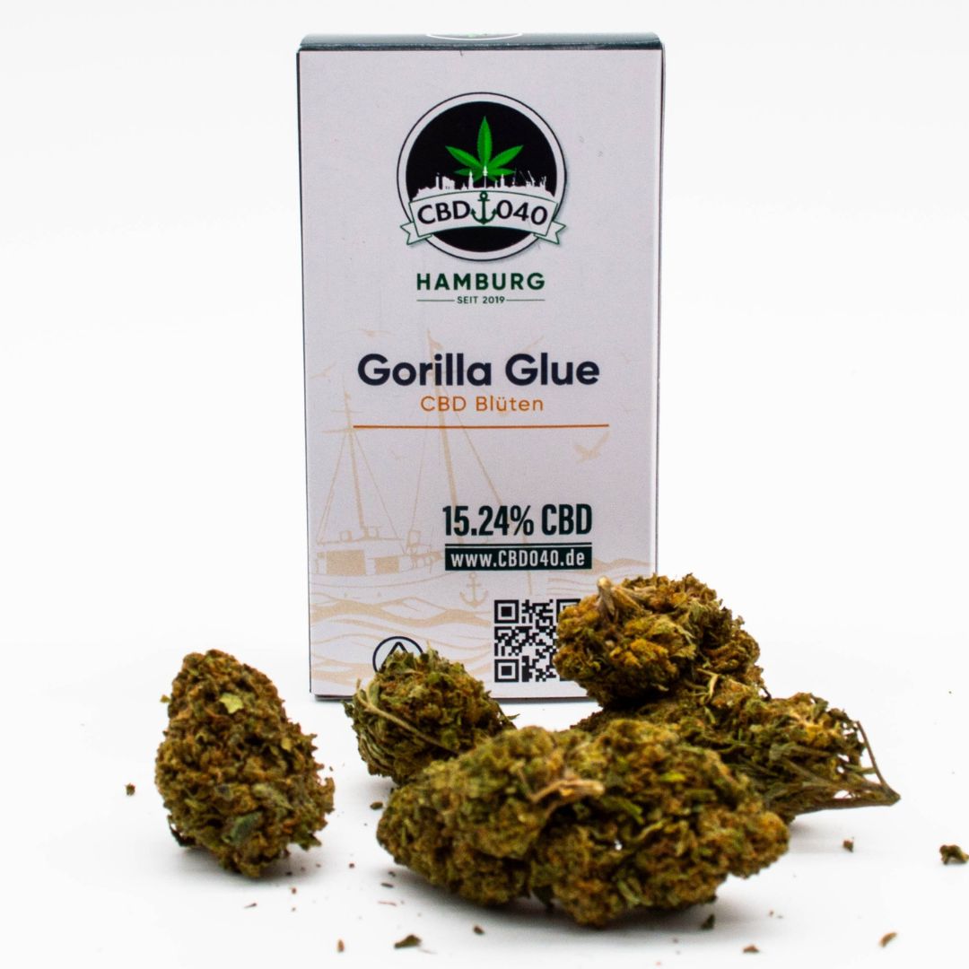 Gorilla Glue CBD Blüten Indoor