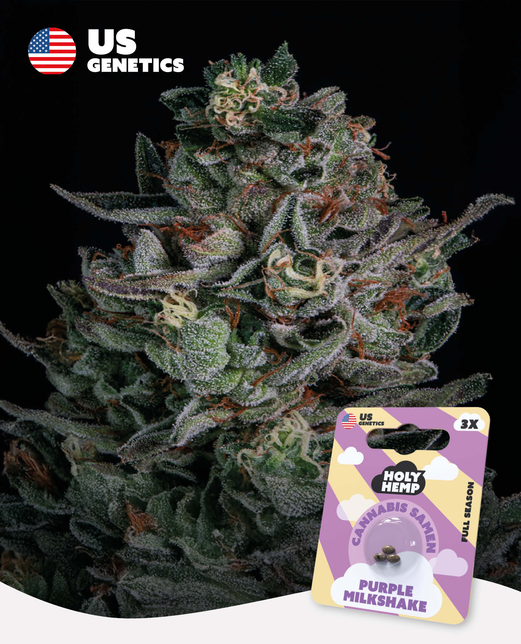 Purple Milkshake Feminisiert