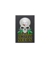 Pepper Jack Haze (Blackskull Seeds)