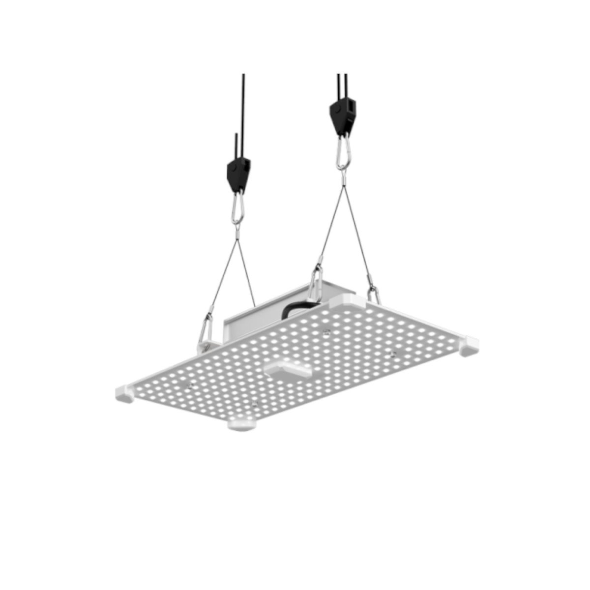 LUMii Black Blade 100 W LED Pflanzenleuchte