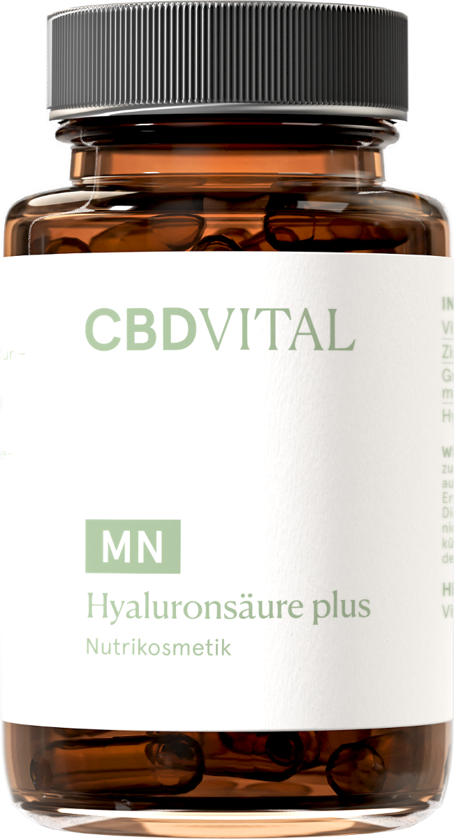 Hyaluronsäure plus
