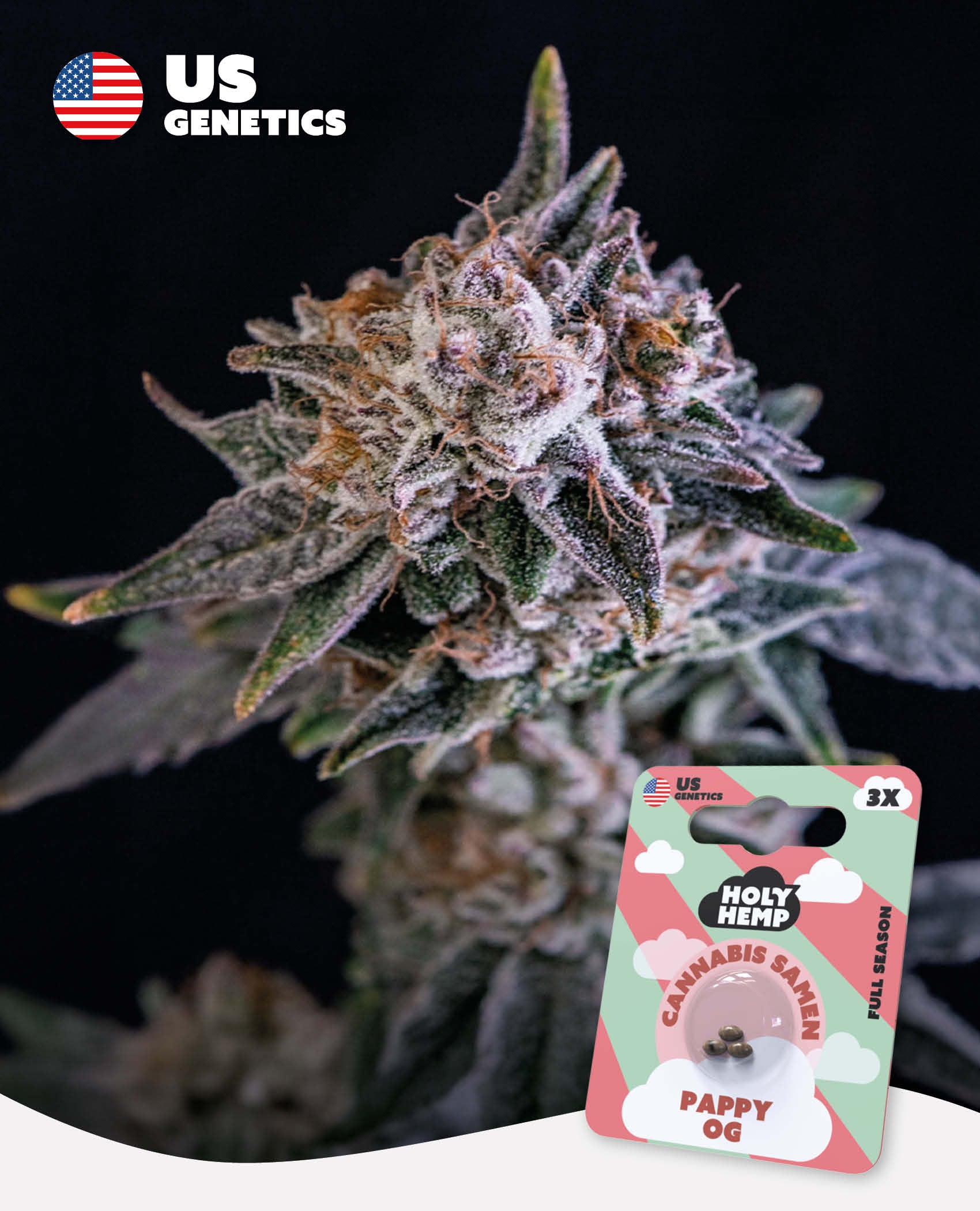 Pappy OG Feminisiert