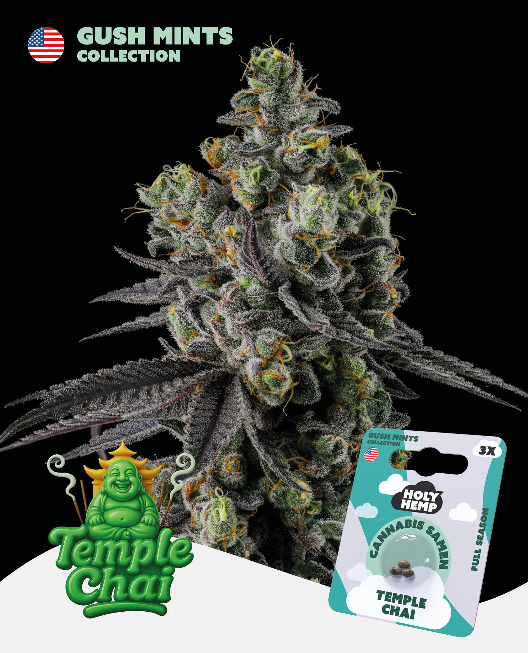 Temple Chai Feminisiert