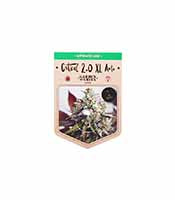 Critical 2.0 XL Auto (Garden Of Green)