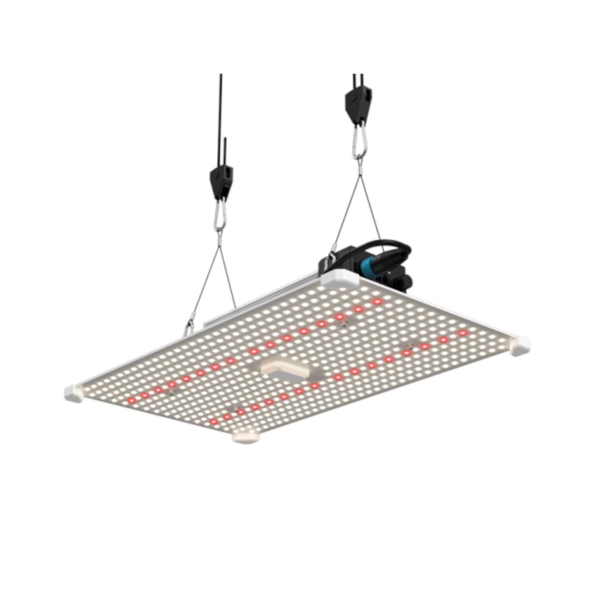 LUMii Black Blade 200 W LED Pflanzenleuchte