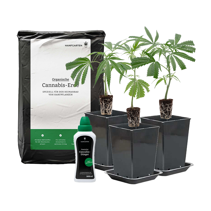 Outdoor-Anbau Rundum Sorglos Paket