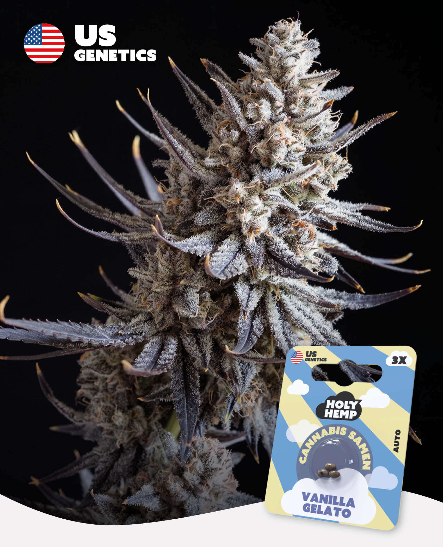 Vanilla Gelato Automatic