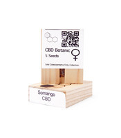 CBD Somango (CBD Botanic Seeds)