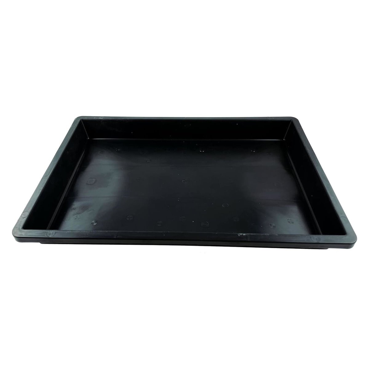 Pikierschale 60x40x6,5 cm