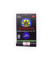 Blue Dynamite regular (Next Generation Seeds)