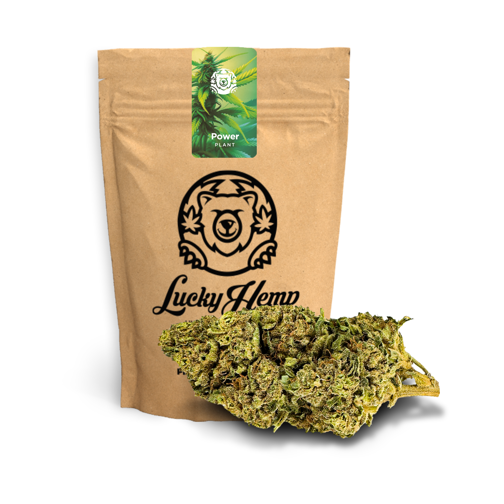 Power Plant Ökopack - 10g