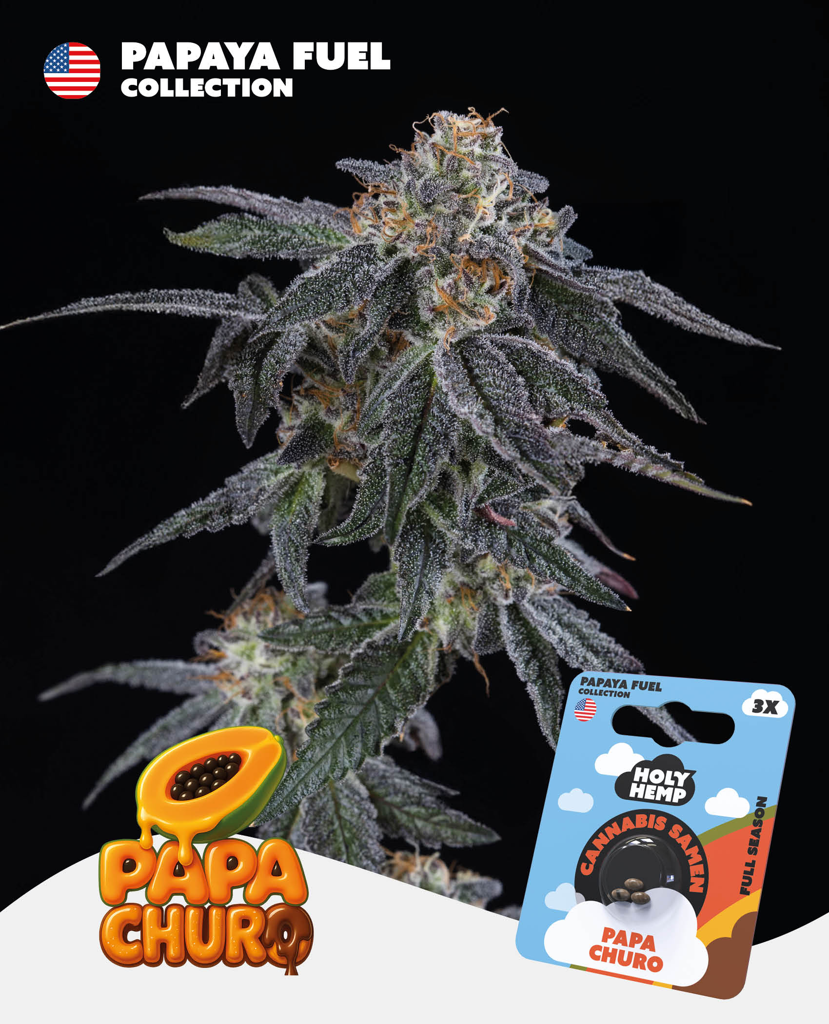 Papa Churo Feminisiert