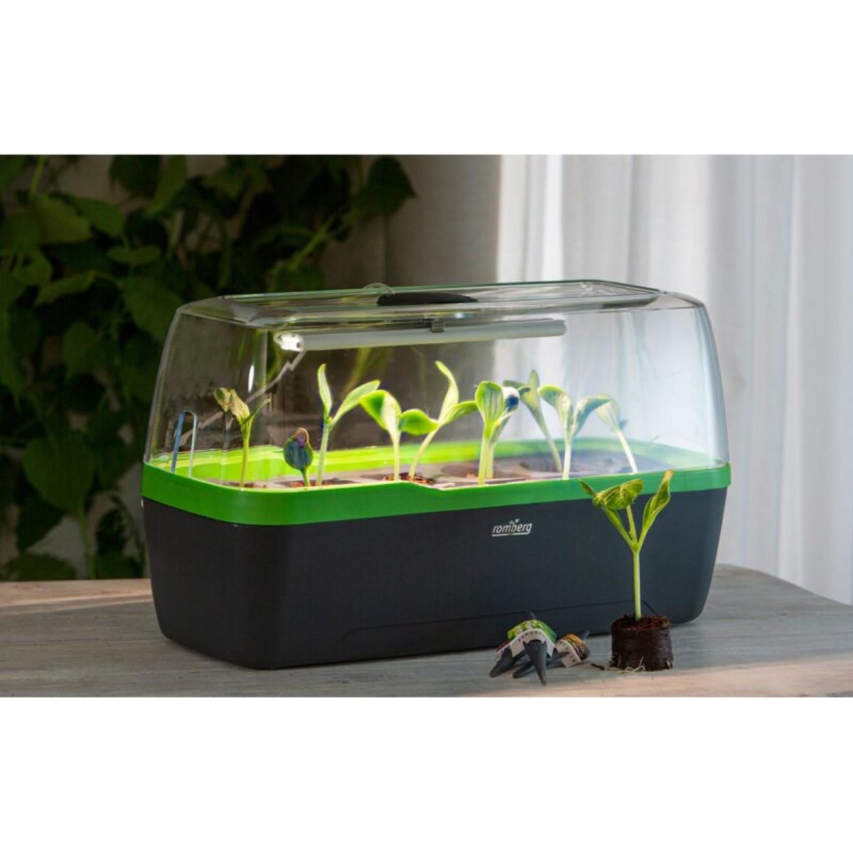 Romberg Gewächshaus BoQube L Plus mit LED (Anthrazit/Grün)