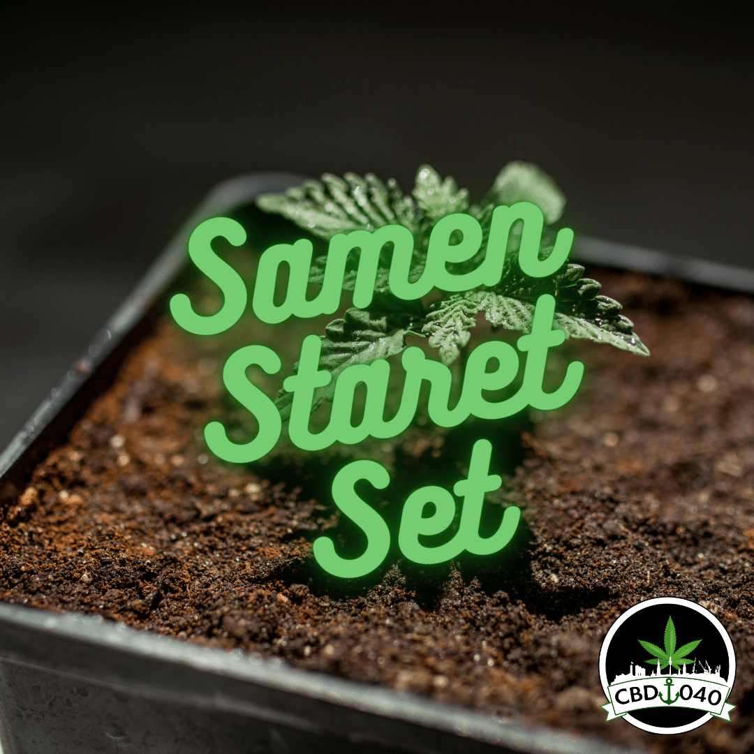 Samen Bundle Starter-Set für den Eigenanbau mit 5 Verschiedene Sorten - 11 Samen