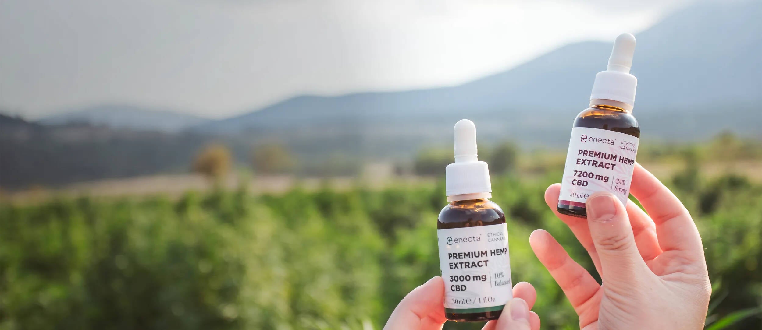 enecta ✅ Titelbild