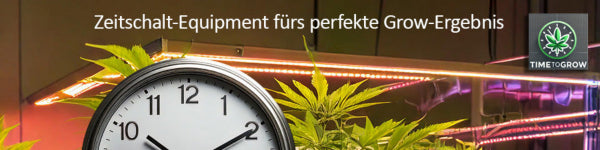 TimeToGrow  Titelbild